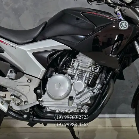 YAMAHA YS Fazer 250 BLUE FLEX, Foto 3