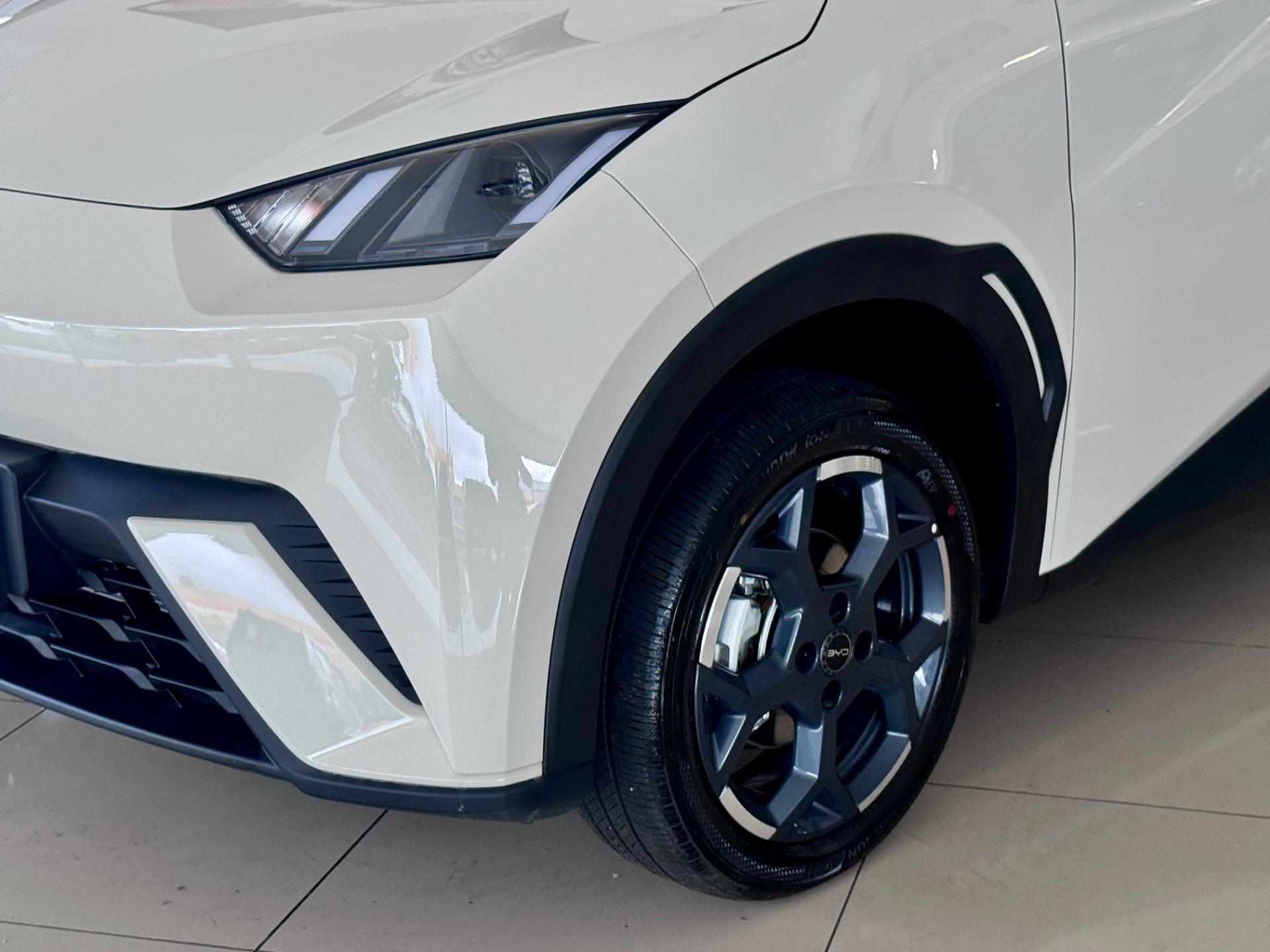 BYD Dolphin Mini - Foto
