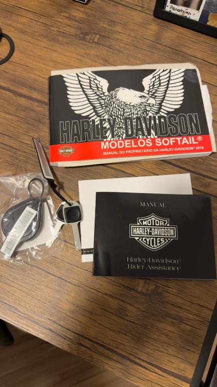 HARLEY DAVIDSON Softail FXDR 114 - Foto