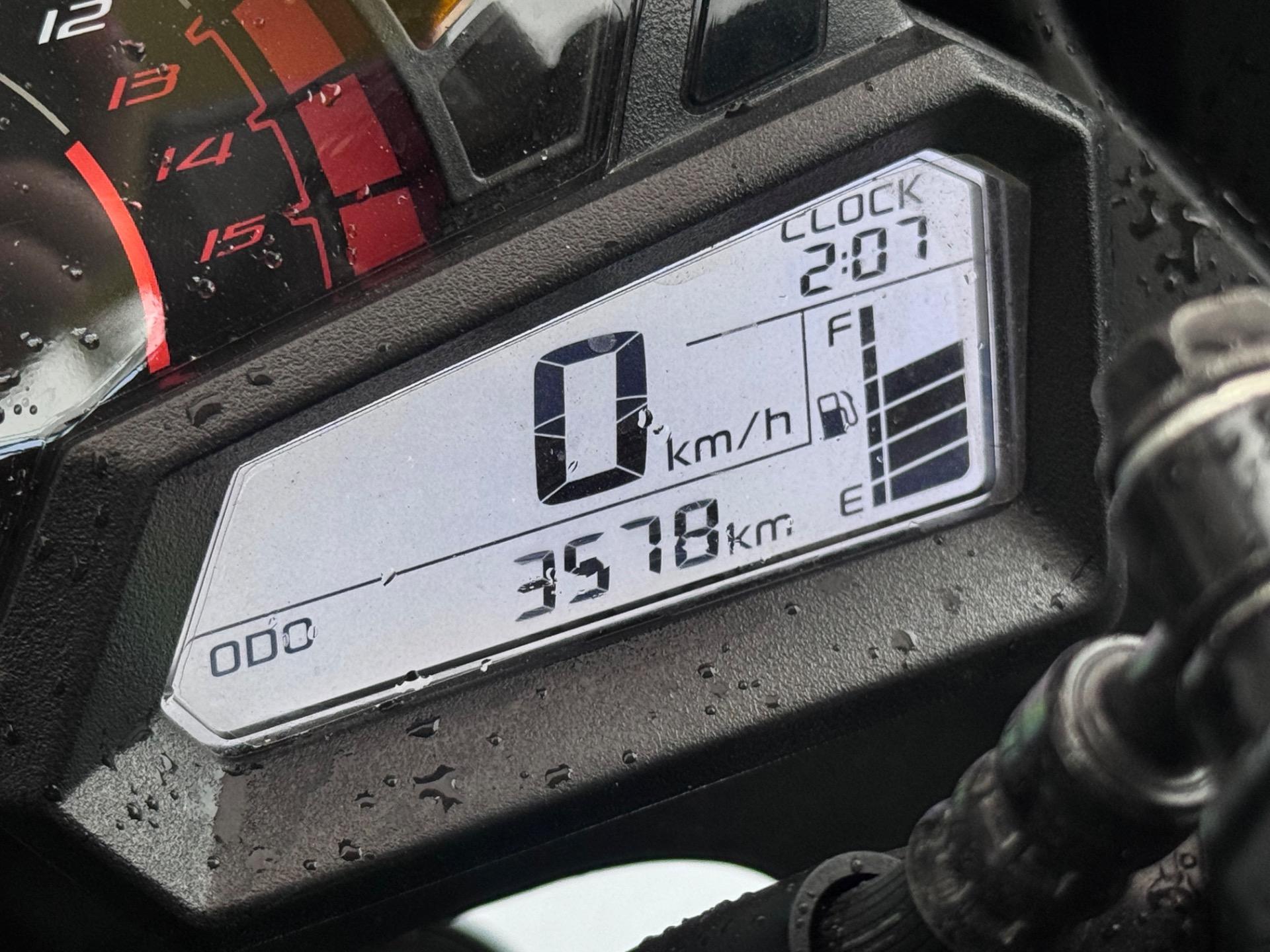 KAWASAKI Ninja 300 - Foto
