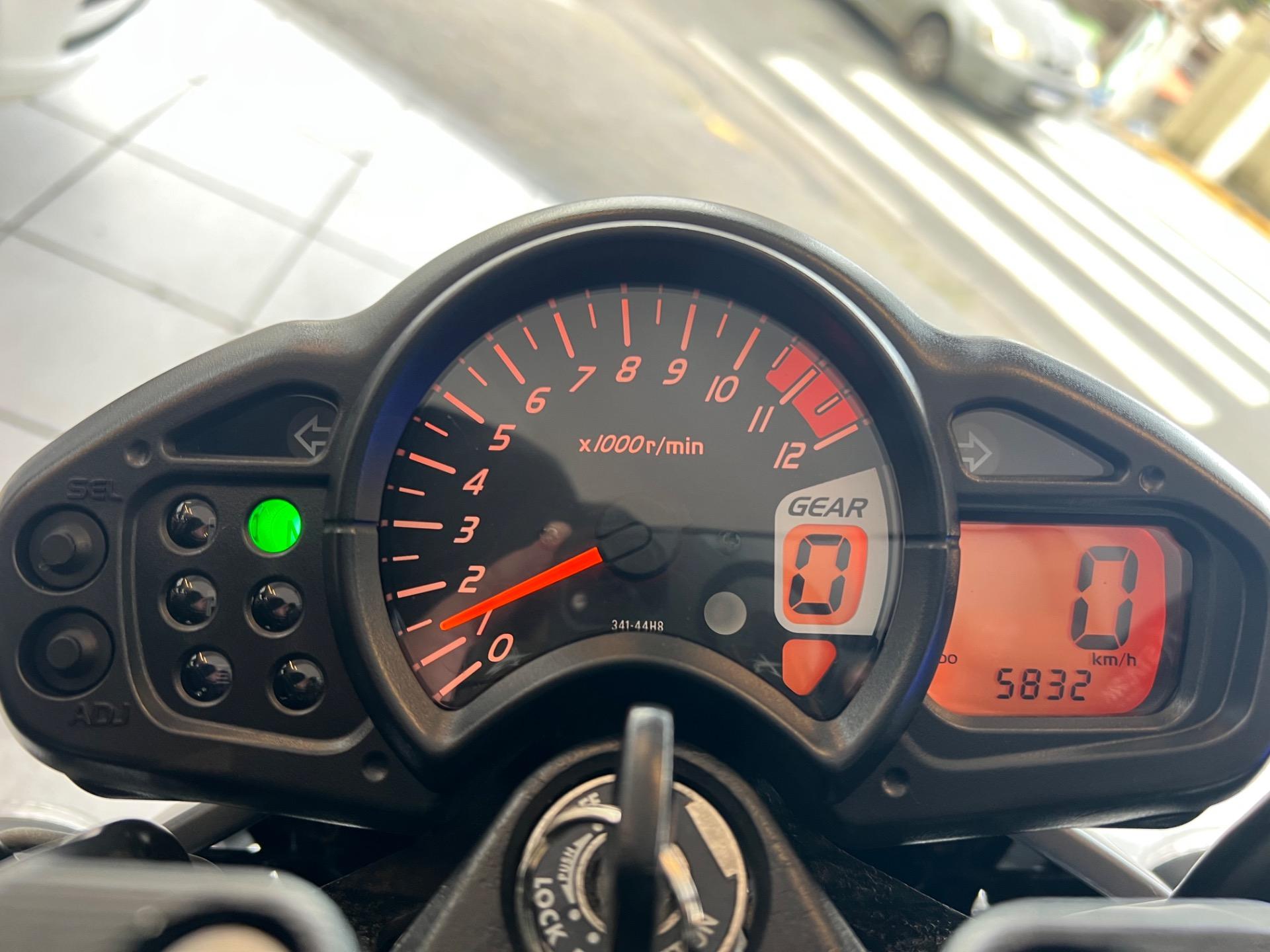 SUZUKI Gladius 650 - Foto