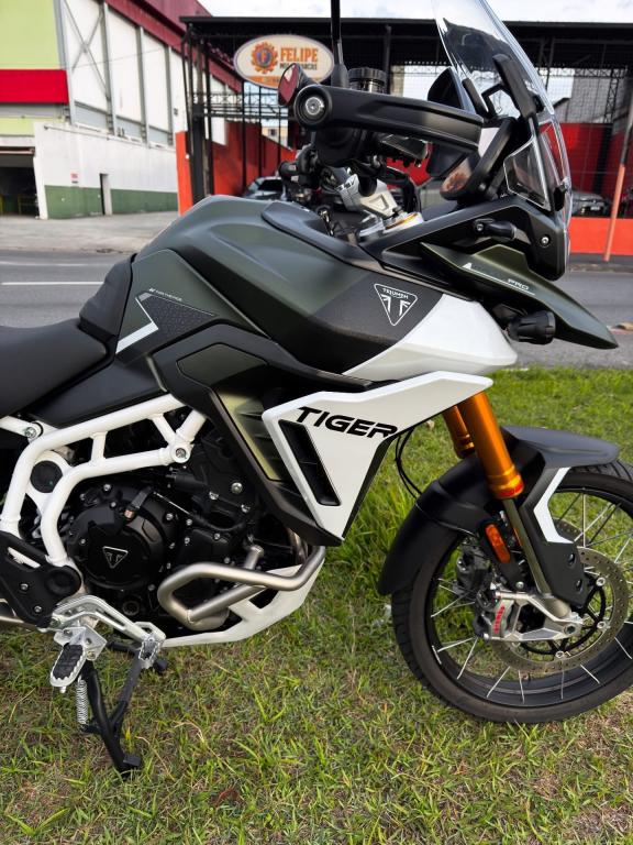 TRIUMPH Tiger 900 GT Pro - Foto