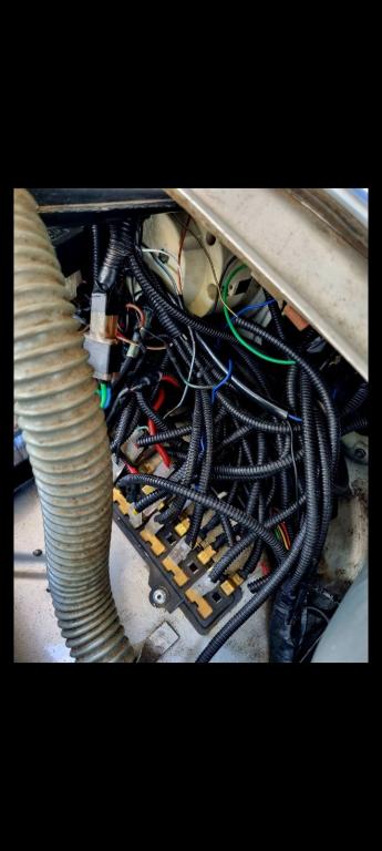 VOLKSWAGEN Fusca - Foto