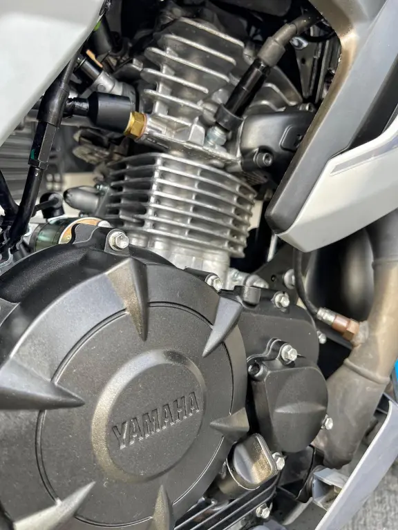 YAMAHA FZ 15 Fazer - Foto
