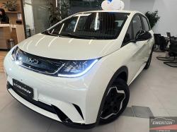 BYD Dolphin 44,9 KW EL�TRICO GS