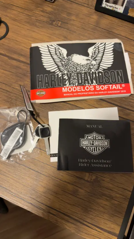 HARLEY DAVIDSON Softail FXDR 114 1800, Foto 14