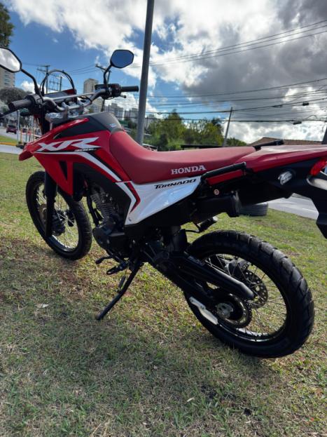 HONDA XR 300 L Tornado , Foto 6