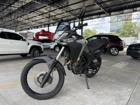 HONDA XRE 300 FLEX, Foto 2