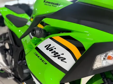 KAWASAKI Ninja 300 ABS, Foto 4