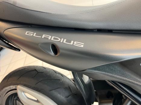 SUZUKI Gladius 650 , Foto 7