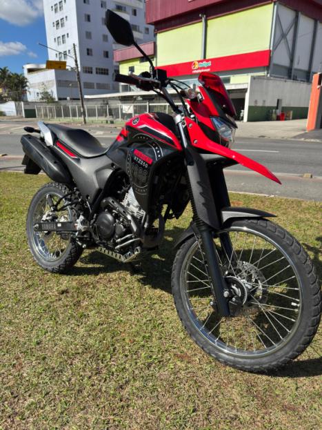 YAMAHA XTZ 250 LANDER, Foto 2