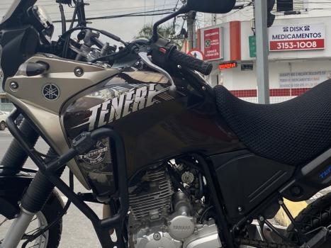 YAMAHA Tener 250 XTZ, Foto 1