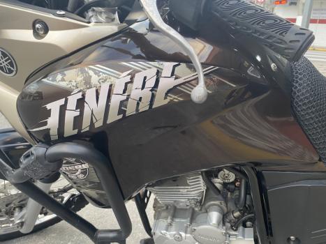 YAMAHA Tener 250 XTZ, Foto 3