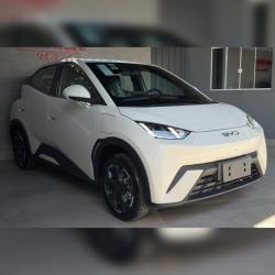 BYD Dolphin Mini 38 KW EL�TRICO GS
