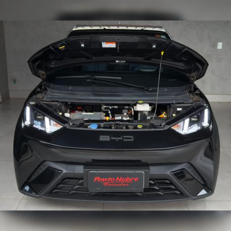BYD Dolphin Mini 38 KW EL�TRICO GS, Foto 24