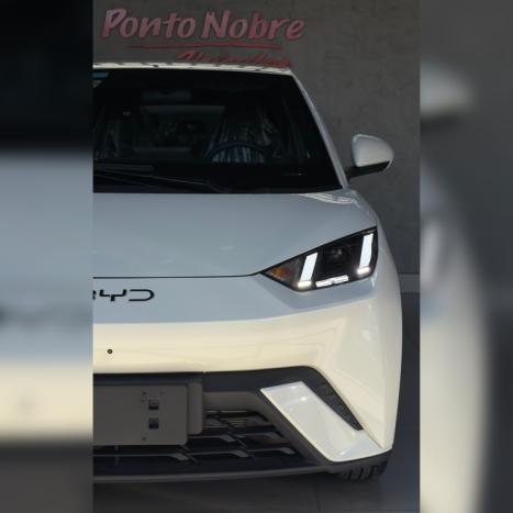 BYD Dolphin Mini 38 KW EL�TRICO GS, Foto 4