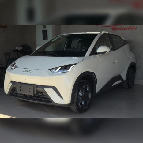 BYD Dolphin Mini 38 KW EL�TRICO GS, Foto 3