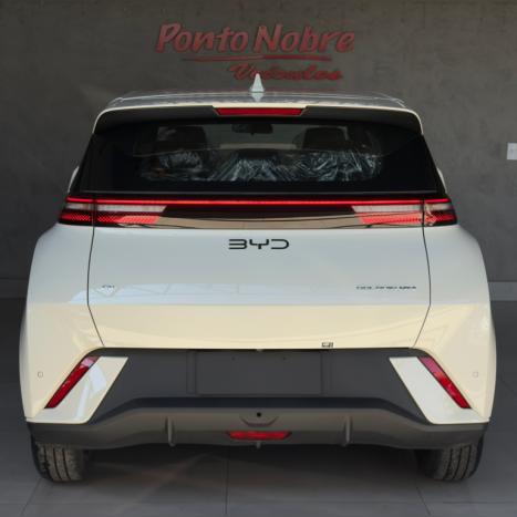 BYD Dolphin Mini 38 KW EL�TRICO GS, Foto 8