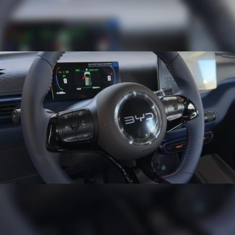 BYD Dolphin Mini 38 KW EL�TRICO GS, Foto 14