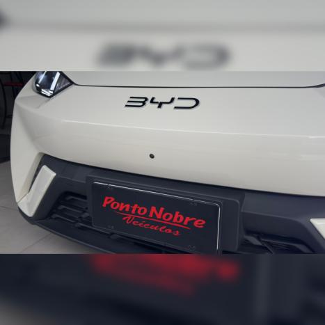 BYD Dolphin Mini 38 KW ELÉTRICO GS, Foto 5