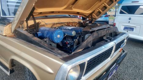 FORD F-4000 4.4 DIESEL, Foto 12