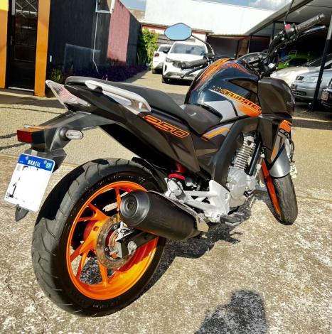 HONDA CB 250 F Twister FLEXONE, Foto 4