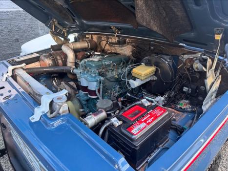 CHEVROLET D20 3.9  S LUXE DIESEL CABINE DUPLA, Foto 11
