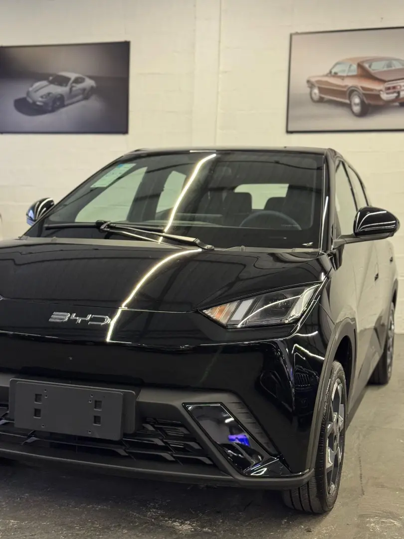 BYD Dolphin Mini - Foto