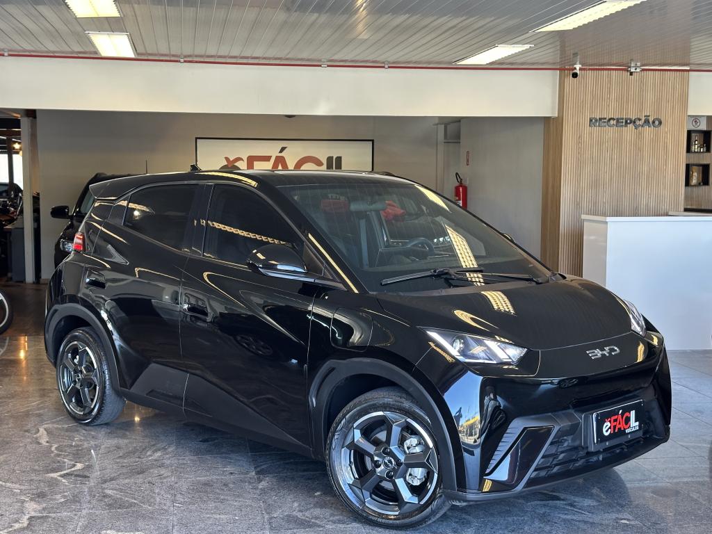 BYD Dolphin Mini