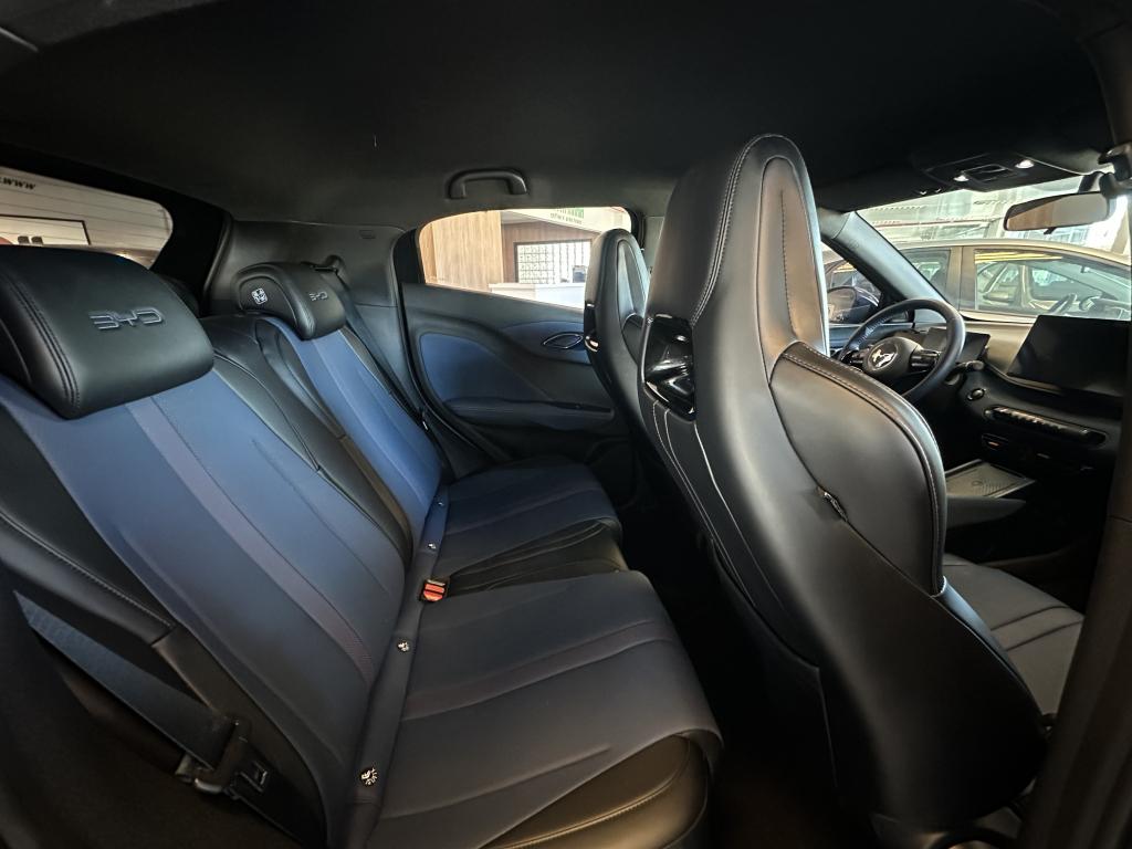 BYD Dolphin Mini - Foto