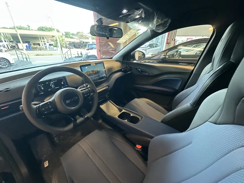 BYD Dolphin Mini - Foto