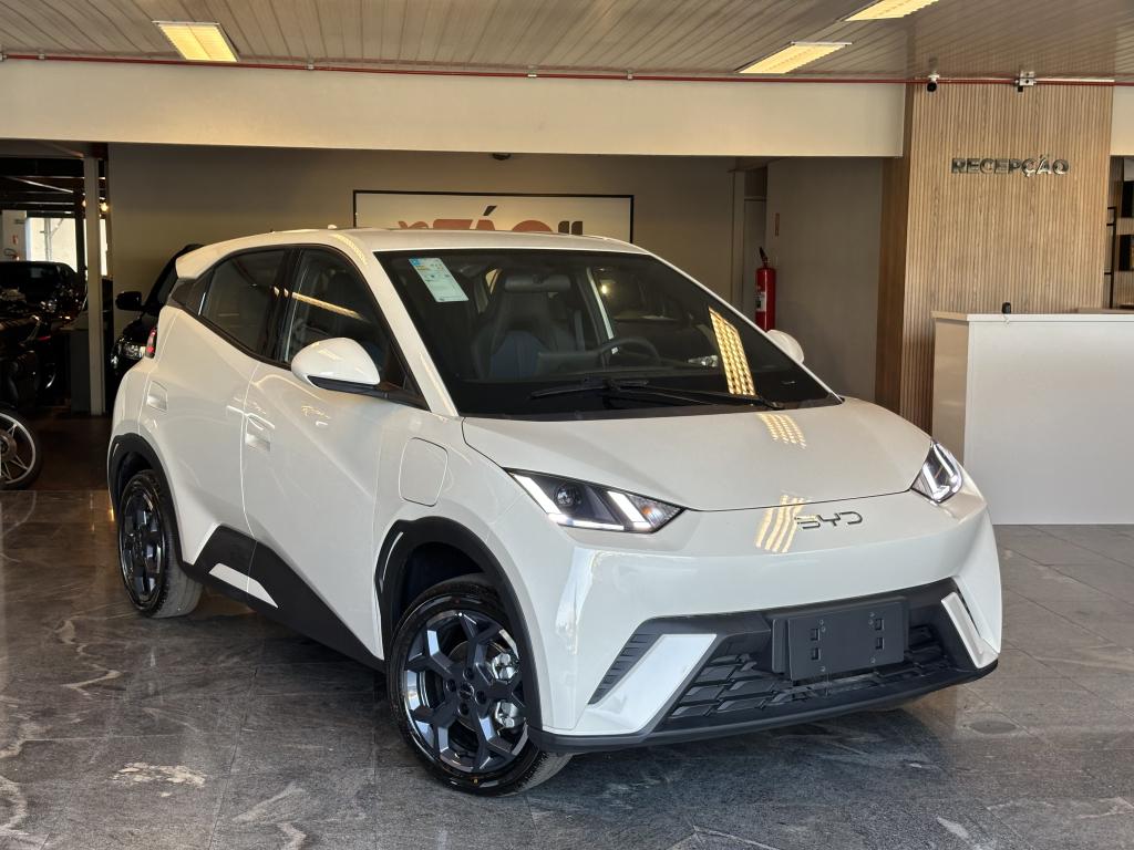 BYD Dolphin Mini