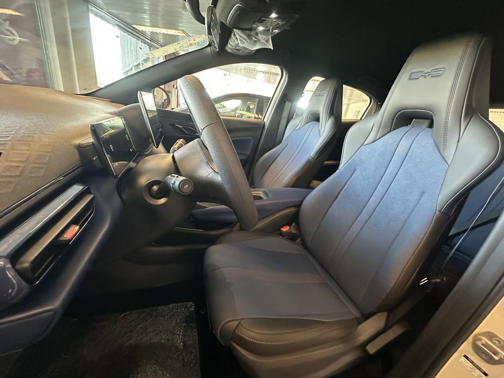 BYD Dolphin Mini - Foto