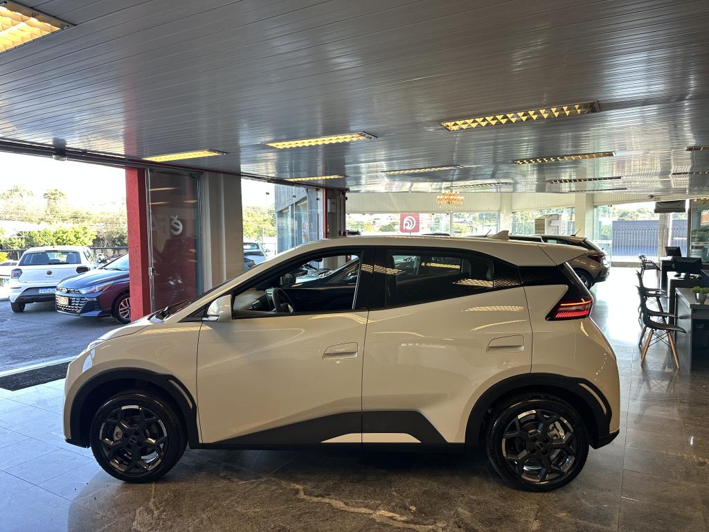 BYD Dolphin Mini - Foto