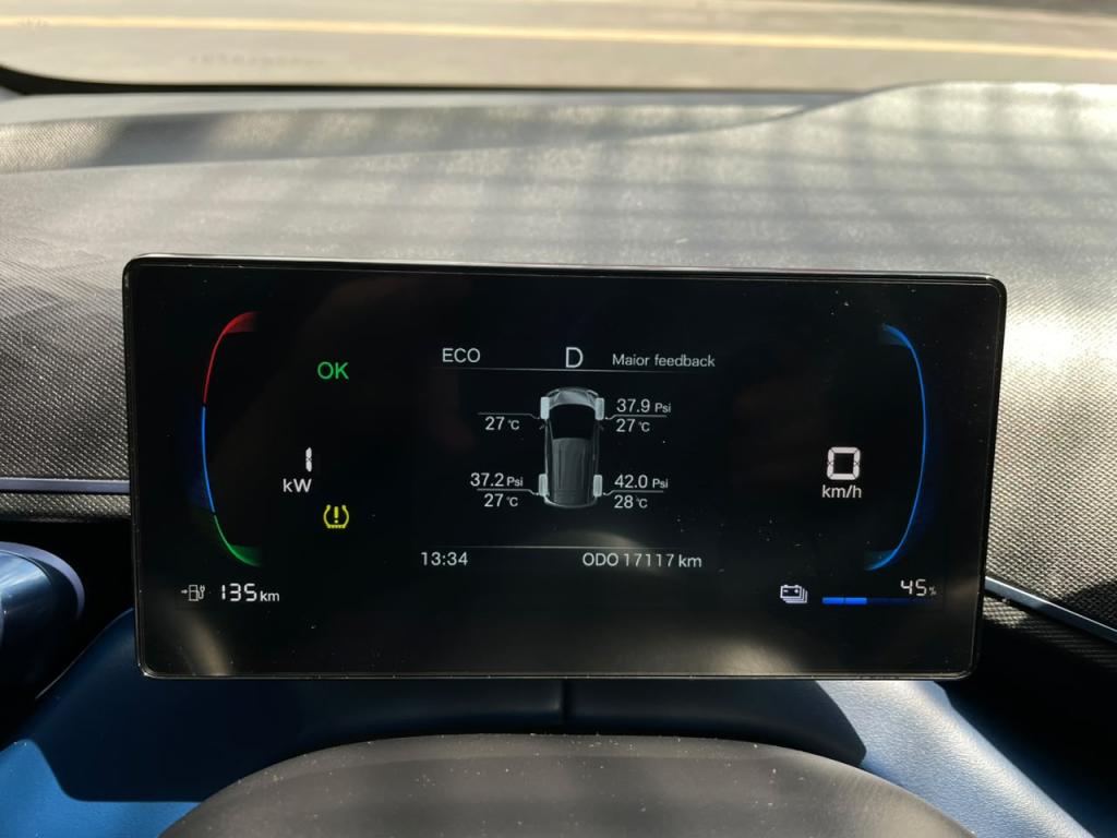 BYD Dolphin Mini - Foto