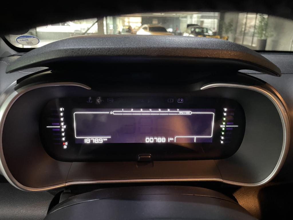 CITROEN C4 Cactus - Foto