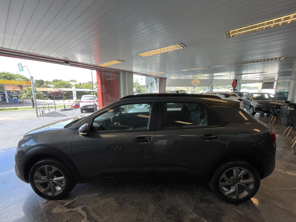 CITROEN C4 Cactus - Foto