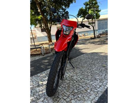 HONDA XR 300 L Tornado , Foto 2