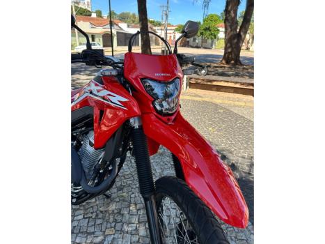 HONDA XR 300 L Tornado , Foto 4