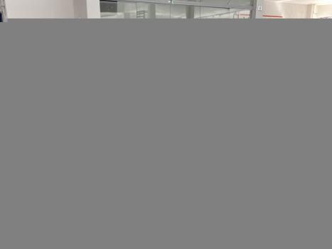MERCEDES-BENZ SLK 200 1.8 CGI ROADSTER AUTOM�TICO, Foto 2