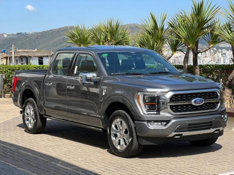 FORD F-150 5.0 V8 24V FX4 PLATINUM CABINE DUPLA AUTOMTICO, Foto 3