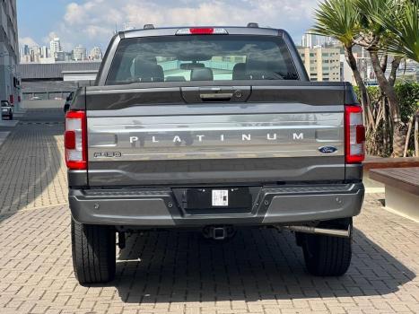 FORD F-150 5.0 V8 24V FX4 PLATINUM CABINE DUPLA AUTOMTICO, Foto 6