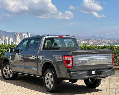 FORD F-150 5.0 V8 24V FX4 PLATINUM CABINE DUPLA AUTOMTICO, Foto 7