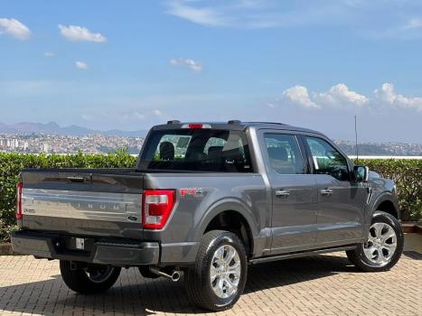 FORD F-150 5.0 V8 24V FX4 PLATINUM CABINE DUPLA AUTOMTICO, Foto 4