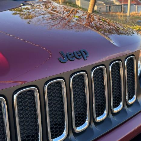 JEEP Renegade 2.0 16V 4P TURBO DIESEL LONGITUDE 4X4 AUTOMTICO, Foto 5