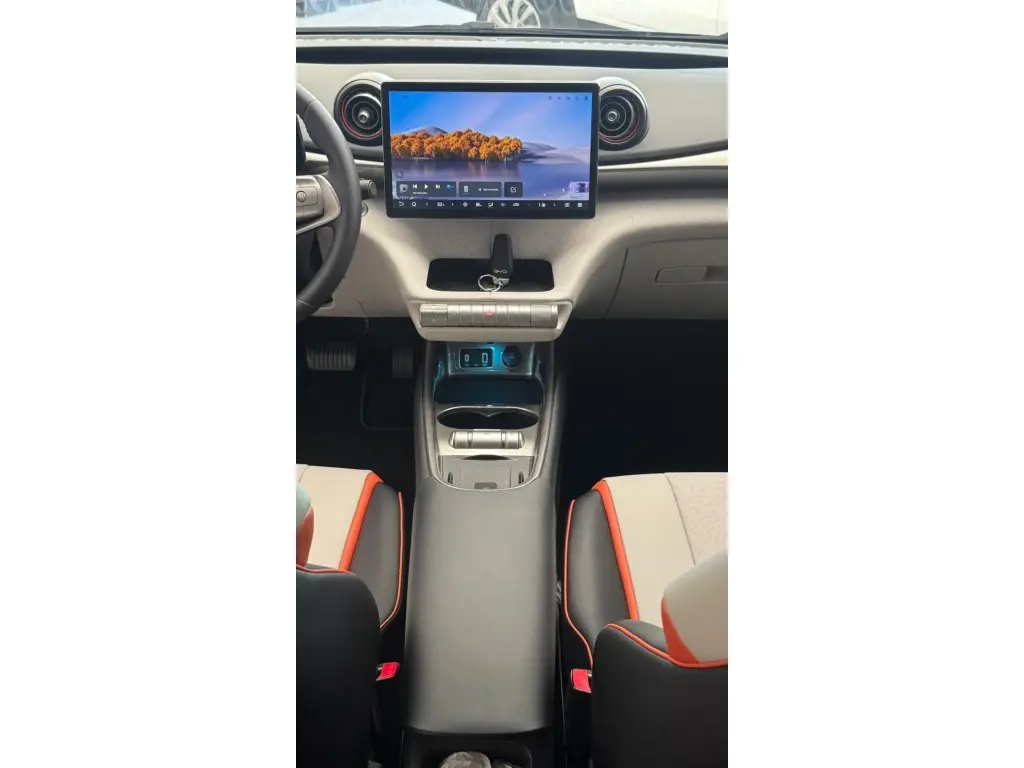 BYD Dolphin - Foto