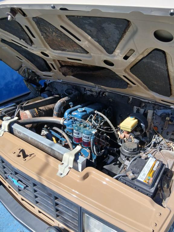 CHEVROLET D20 - Foto