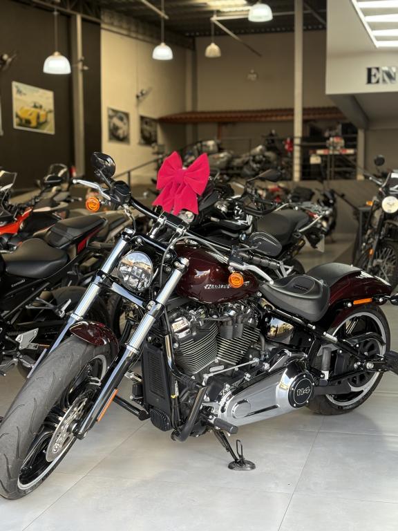 HARLEY DAVIDSON Breakout
