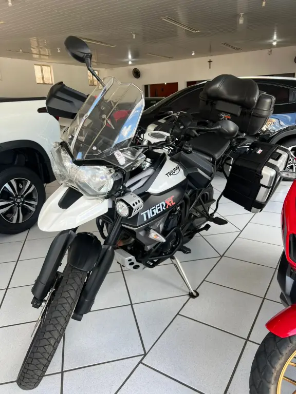 TRIUMPH Tiger 800