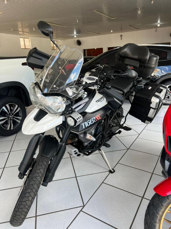 TRIUMPH Tiger 800 - Foto